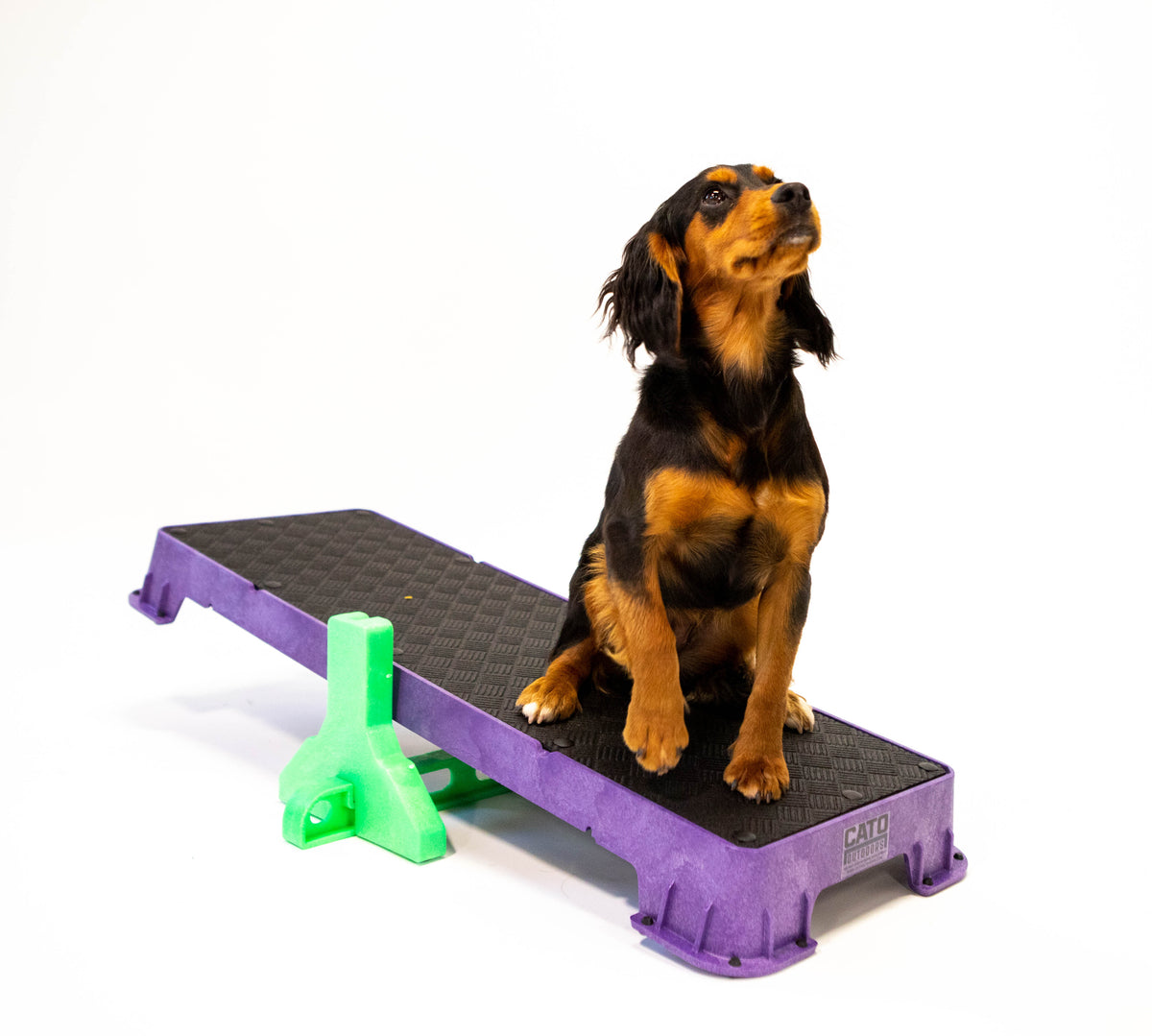 Cato Board Training Platform – Ridgeside K9 Dog Training Supplies
