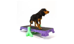 Cato Plank with Tilt Stand - Dog Training Platform and Puppy Development. 