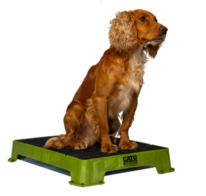 Cato Board - Dog Training Platform - Made in The USA (Olive Green, Rubber Surface)