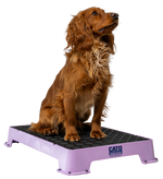 Cato Board Dog Training Platform