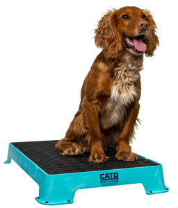 Cato Board Dog Training Place Board – Cato Outdoors
